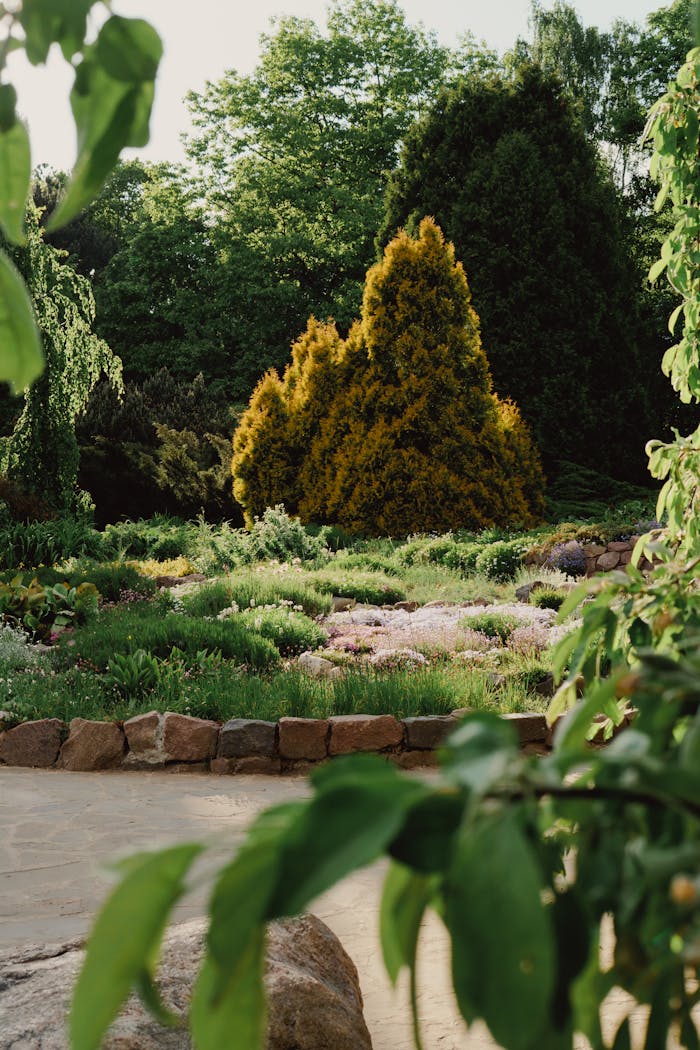 The Art of Drawing Readers In: Your attractive post title goes here Serene view of a botanic garden with vibrant green trees and shrubs in Minsk, Belarus.