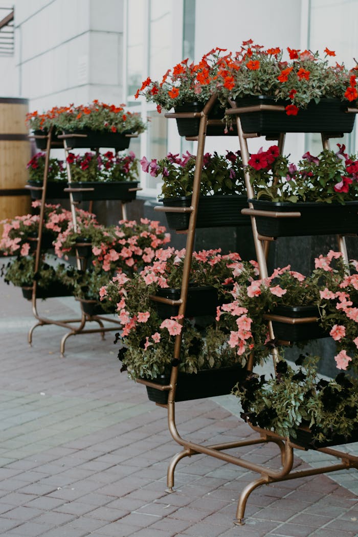 services-02 Charming multi-tiered flower pots with vibrant blooms on city street.
