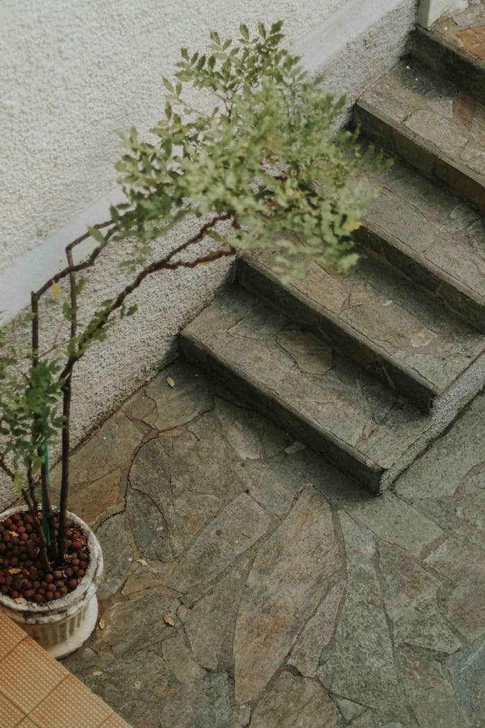 about-hero A rustic stone staircase next to a potted plant in an outdoor setting.