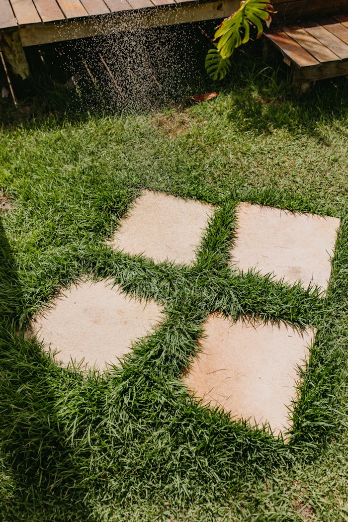 services-01 Charming garden patio with stone tiles amidst lush green grass, captured in Bahia, Brazil.